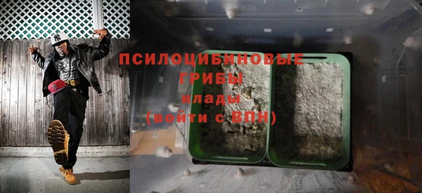МДМА Новодвинск