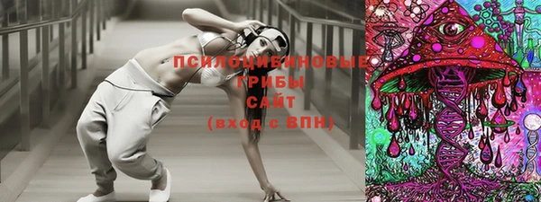 гидропоника Няндома