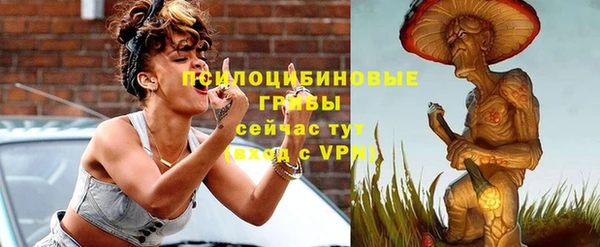 гидропоника Няндома