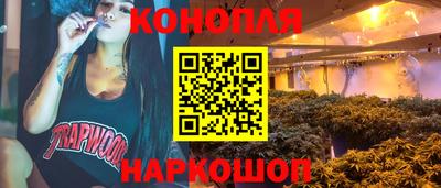 ГАЛЛЮЦИНОГЕННЫЕ ГРИБЫ Заволжье