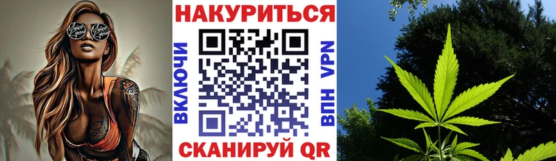 Бошки Шишки план  Людиново 